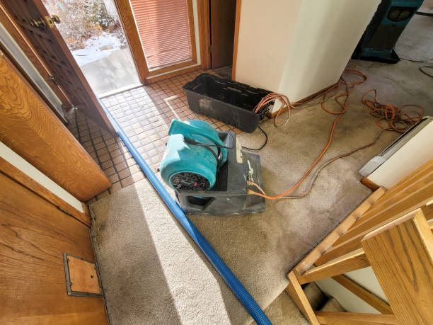 Trusted Haymarket, VA Water damage restoration Experts