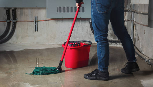 Best Water damage restoration process  in Haymarket, VA