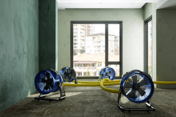 Best Sewage cleanup and water damage restoration  in Haymarket, VA