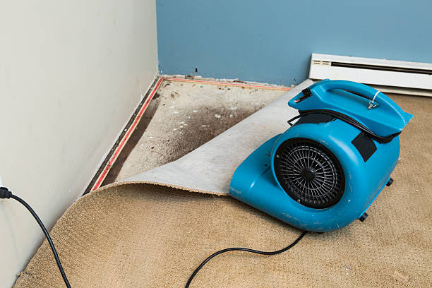 Best 24/7 water damage repair  in Haymarket, VA